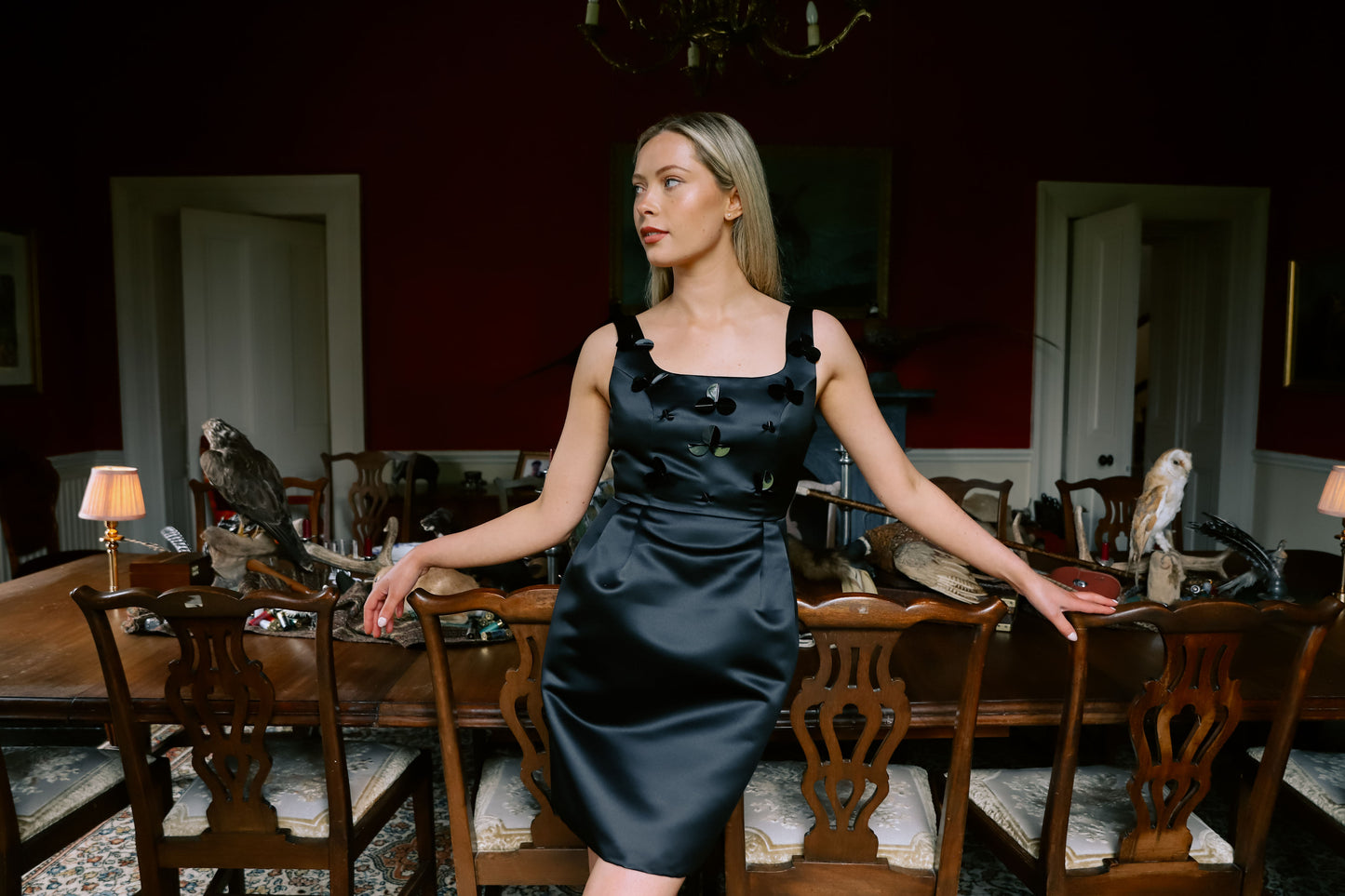 Kate Embellished Dress